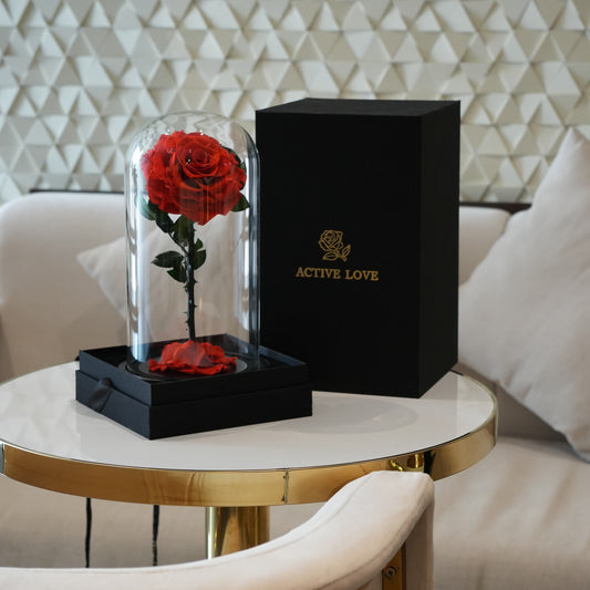 Preserved Red Rose in Glass Dome – "Active Love" Luxury Gift Box