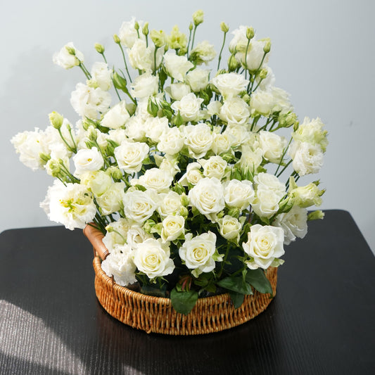 Serenity Bloom - White Rose Lisianthus Basket