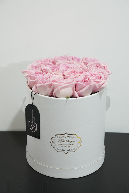 بلاش إليجانس - ورود وردية في علبة بيضاء فاخرة